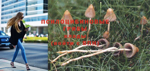 альфа пвп VHQ Няндома