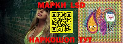 крисы Гагарин