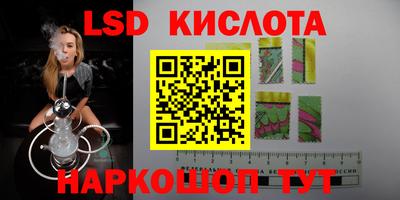 ПСИЛОЦИБИНОВЫЕ ГРИБЫ Гай