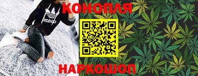 крисы Гагарин