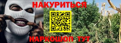 ПСИЛОЦИБИНОВЫЕ ГРИБЫ Гай