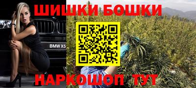 крисы Гагарин