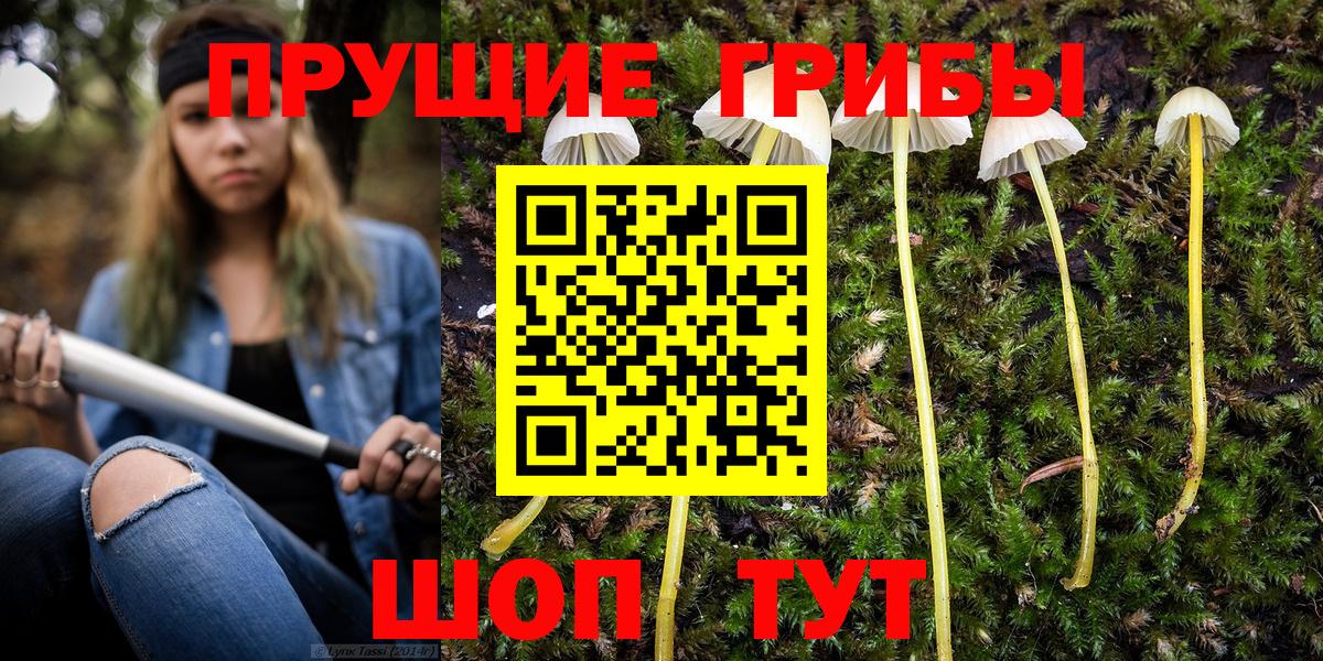 Галлюциногенные грибы Psilocybine cubensis  Галлюциногенные грибы Cubensis  Азнакаево 