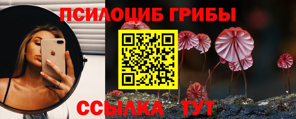 Азнакаево  Псилоцибиновые грибы MAGIC MUSHROOMS  Вход с VPN 