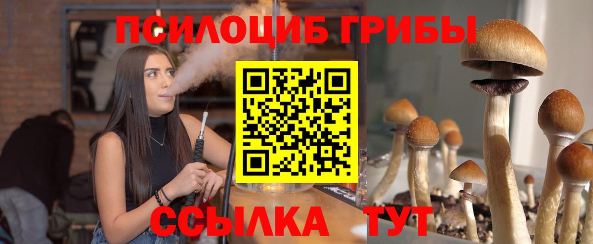 Галлюциногенные грибы Psilocybe  Вход с VPN  Азнакаево 