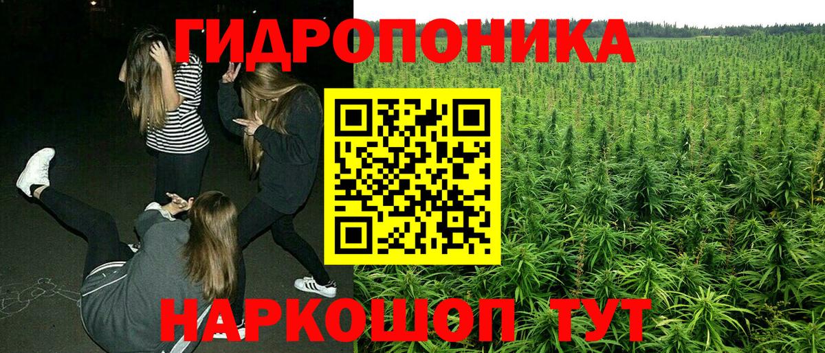 Конопля Ganja Азнакаево
